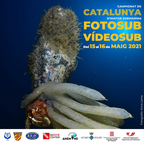 Campionat de Catalunya d'Imatge Submarina 2021