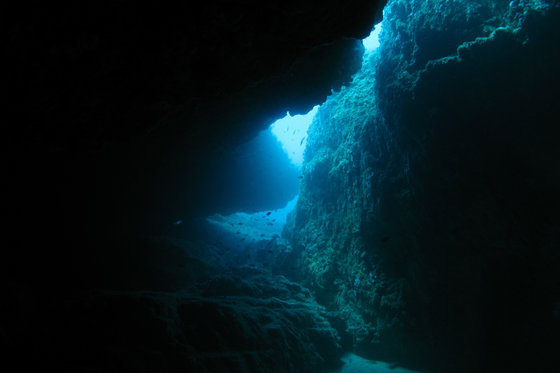 Buceo en Cuevas de Sant Feliu